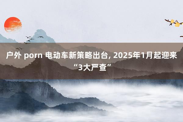 户外 porn 电动车新策略出台， 2025年1月起迎来“3大严查”