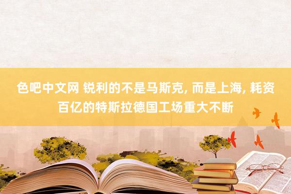 色吧中文网 锐利的不是马斯克， 而是上海， 耗资百亿的特斯拉德国工场重大不断