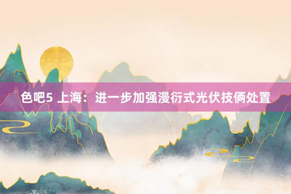 色吧5 上海：进一步加强漫衍式光伏技俩处置