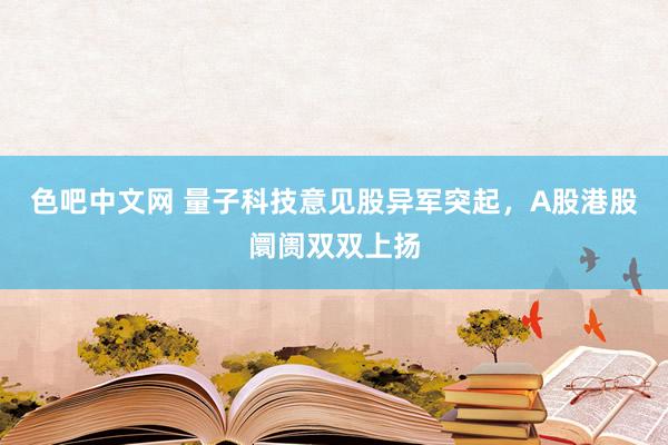 色吧中文网 量子科技意见股异军突起，A股港股阛阓双双上扬