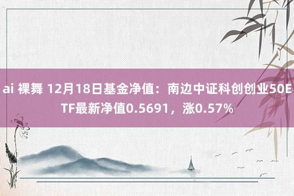 ai 裸舞 12月18日基金净值：南边中证科创创业50ETF最新净值0.5691，涨0.57%