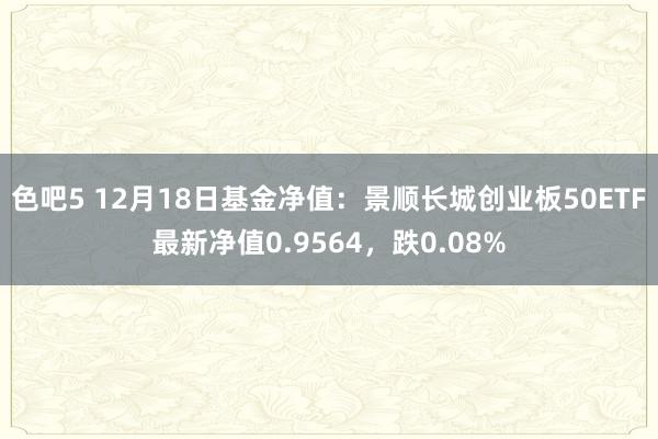 色吧5 12月18日基金净值：景顺长城创业板50ETF最新净值0.9564，跌0.08%