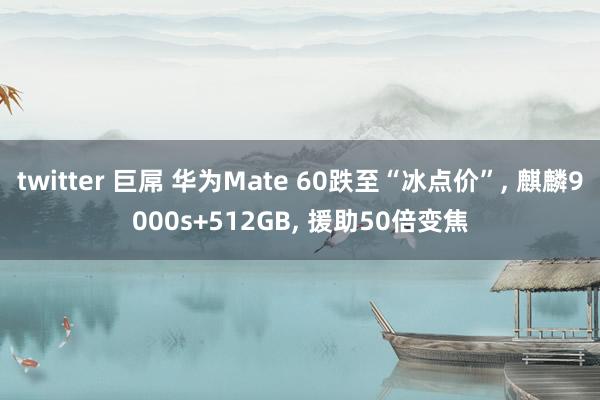 twitter 巨屌 华为Mate 60跌至“冰点价”， 麒麟9000s+512GB， 援助50倍变焦