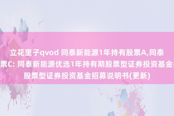 立花里子qvod 同泰新能源1年持有股票A，同泰新能源1年持有股票C: 同泰新能源优选1年持有期股票型证券投资基金招募说明书(更新)