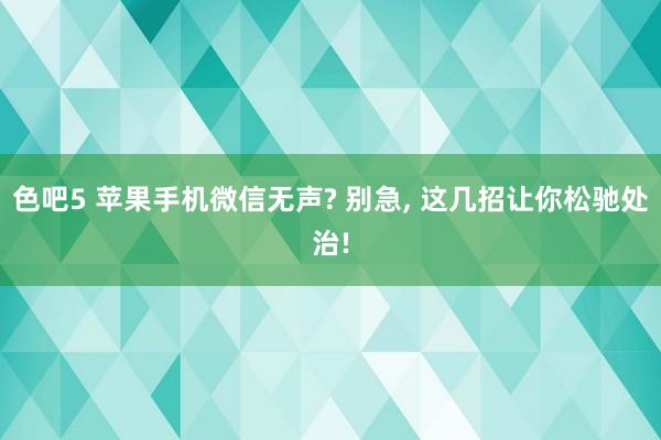 色吧5 苹果手机微信无声? 别急， 这几招让你松驰处治!