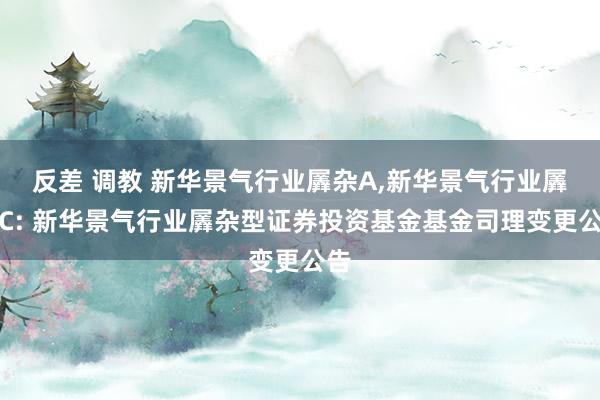 反差 调教 新华景气行业羼杂A，新华景气行业羼杂C: 新华景气行业羼杂型证券投资基金基金司理变更公告