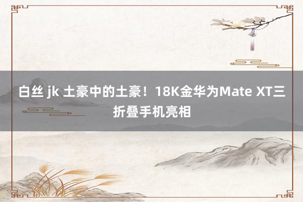 白丝 jk 土豪中的土豪！18K金华为Mate XT三折叠手机亮相