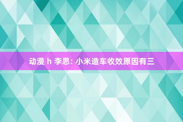 动漫 h 李思: 小米造车收效原因有三