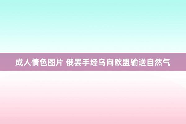 成人情色图片 俄罢手经乌向欧盟输送自然气