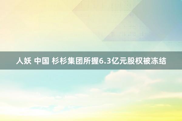 人妖 中国 杉杉集团所握6.3亿元股权被冻结