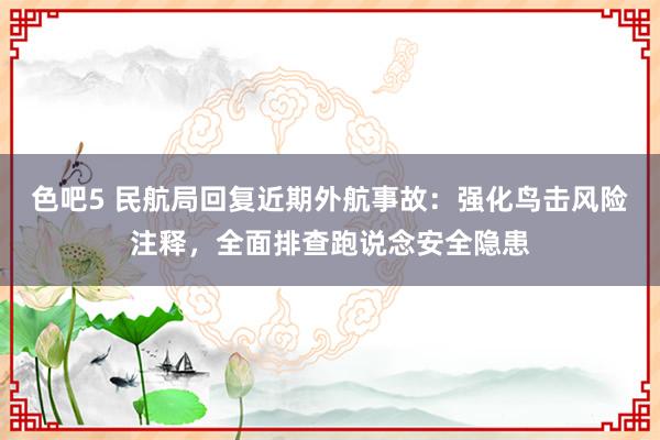 色吧5 民航局回复近期外航事故：强化鸟击风险注释，全面排查跑说念安全隐患