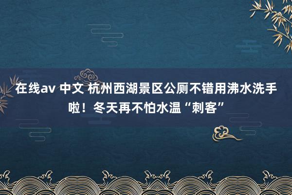 在线av 中文 杭州西湖景区公厕不错用沸水洗手啦！冬天再不怕水温“刺客”