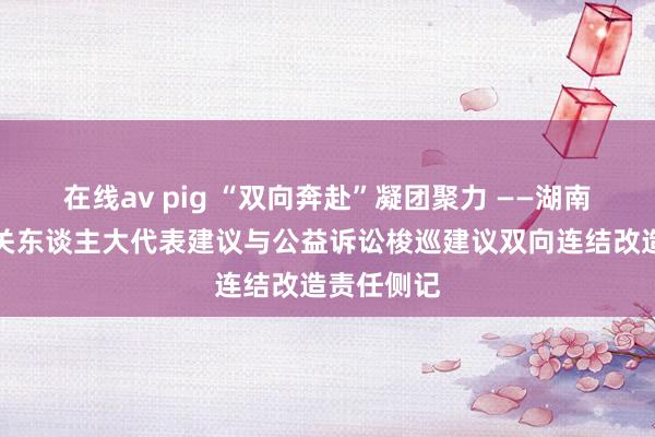 在线av pig “双向奔赴”凝团聚力 ——湖南省梭巡机关东谈主大代表建议与公益诉讼梭巡建议双向连结改造责任侧记