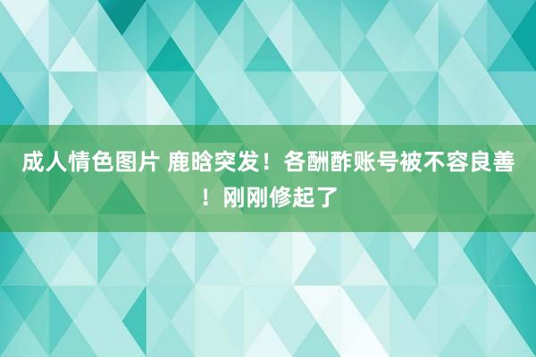 成人情色图片 鹿晗突发！各酬酢账号被不容良善！刚刚修起了