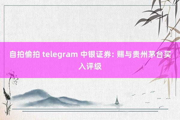 自拍偷拍 telegram 中银证券: 赐与贵州茅台买入评级