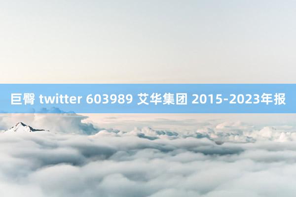 巨臀 twitter 603989 艾华集团 2015-2023年报