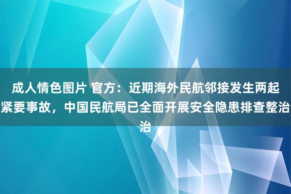 成人情色图片 官方：近期海外民航邻接发生两起紧要事故，中国民航局已全面开展安全隐患排查整治