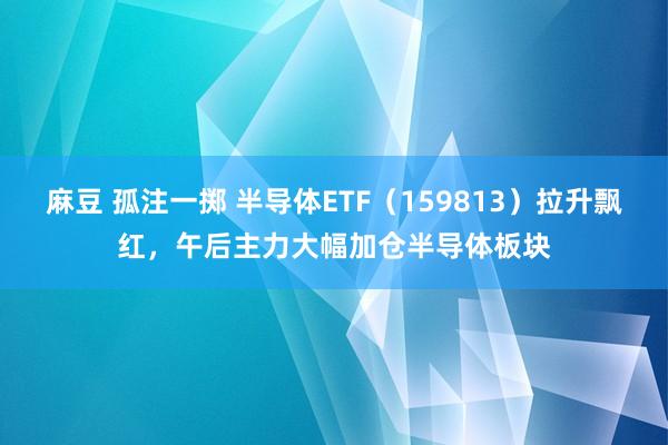 麻豆 孤注一掷 半导体ETF（159813）拉升飘红，午后主力大幅加仓半导体板块