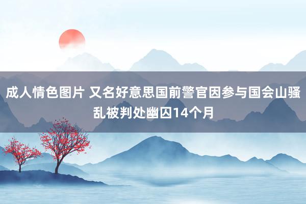 成人情色图片 又名好意思国前警官因参与国会山骚乱被判处幽囚14个月