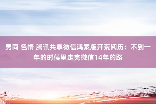 男同 色情 腾讯共享微信鸿蒙版开荒阅历：不到一年的时候里走完微信14年的路