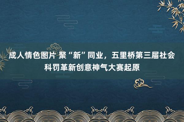 成人情色图片 聚“新”同业，五里桥第三届社会科罚革新创意神气大赛起原