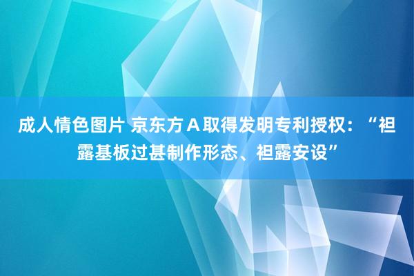 成人情色图片 京东方Ａ取得发明专利授权：“袒露基板过甚制作形态、袒露安设”