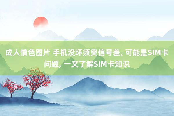 成人情色图片 手机没坏须臾信号差， 可能是SIM卡问题， 一文了解SIM卡知识