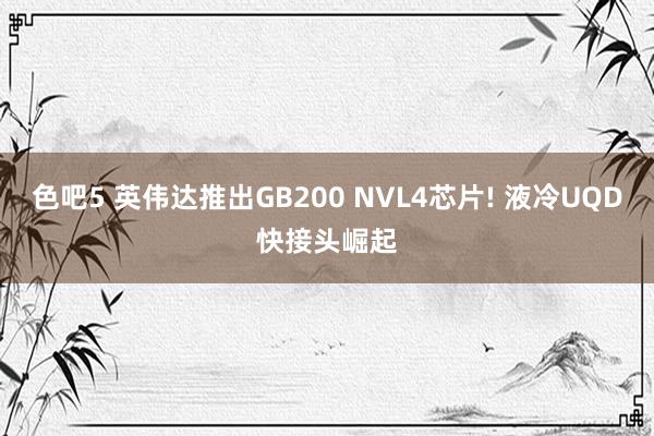 色吧5 英伟达推出GB200 NVL4芯片! 液冷UQD快接头崛起