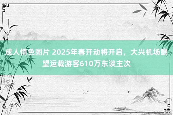 成人情色图片 2025年春开动将开启，大兴机场瞻望运载游客610万东谈主次