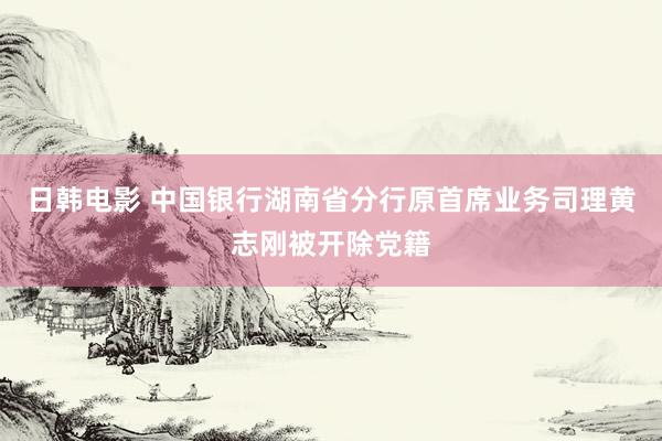 日韩电影 中国银行湖南省分行原首席业务司理黄志刚被开除党籍